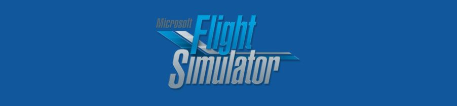 Microsoft Flight Simulator